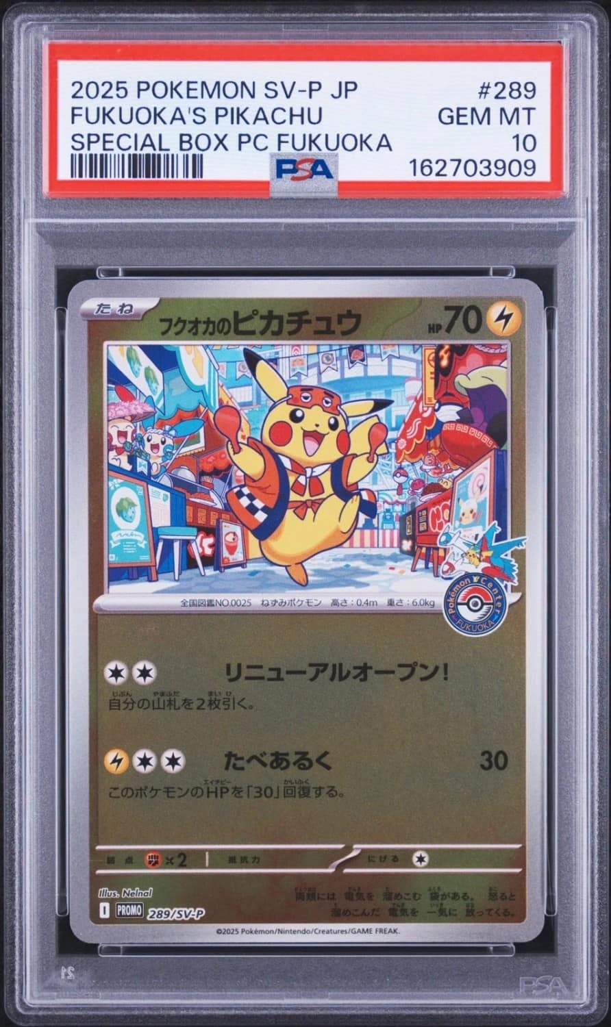 Fukuoka'S Pikachu