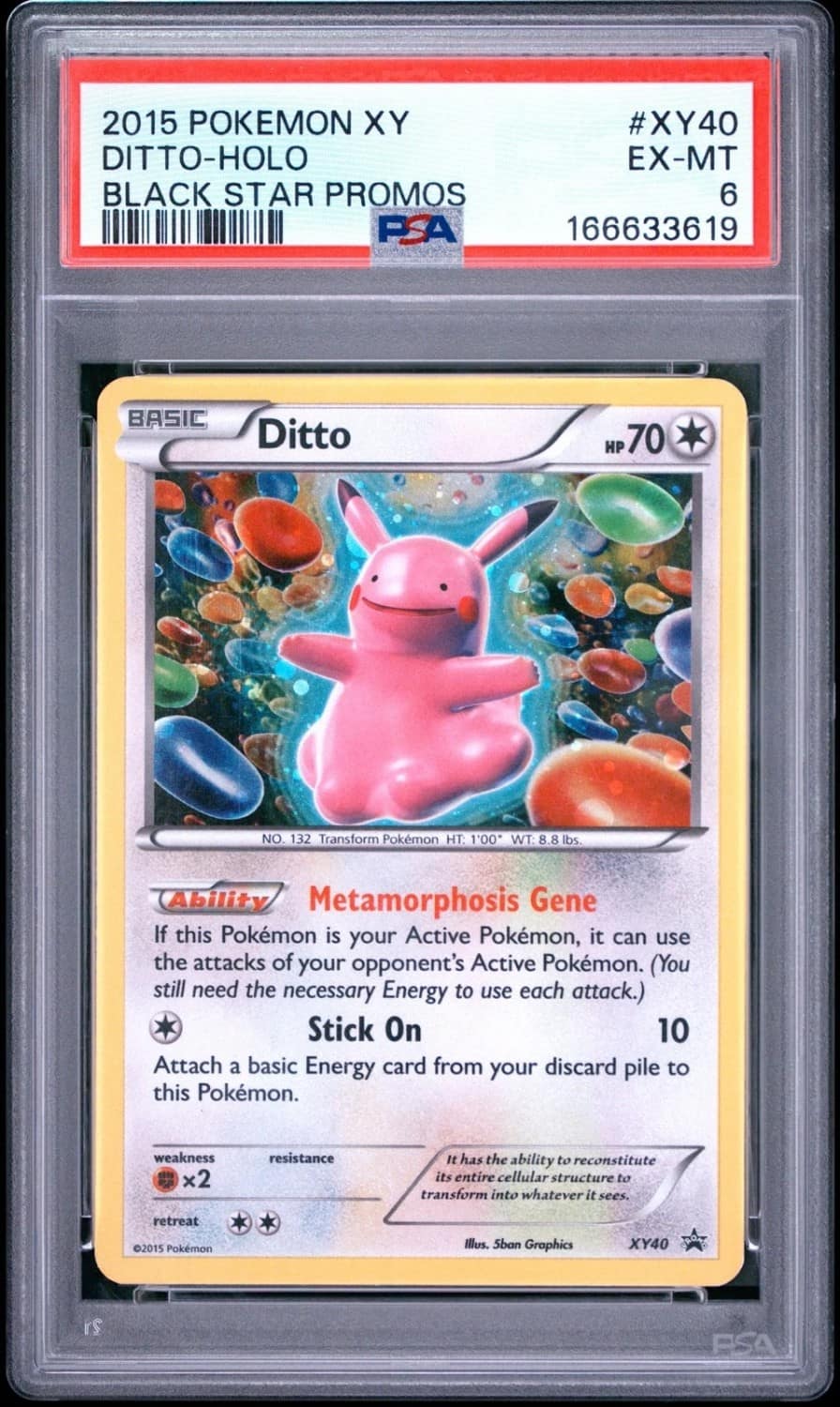 Ditto