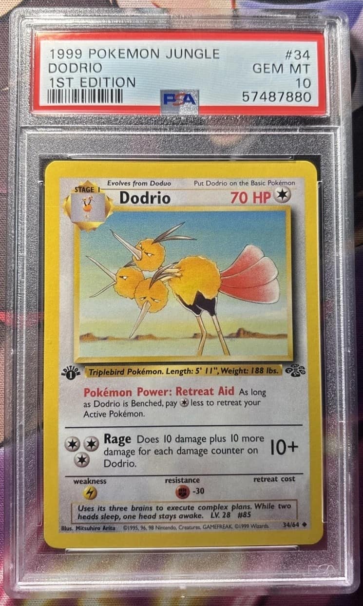 Dodrio