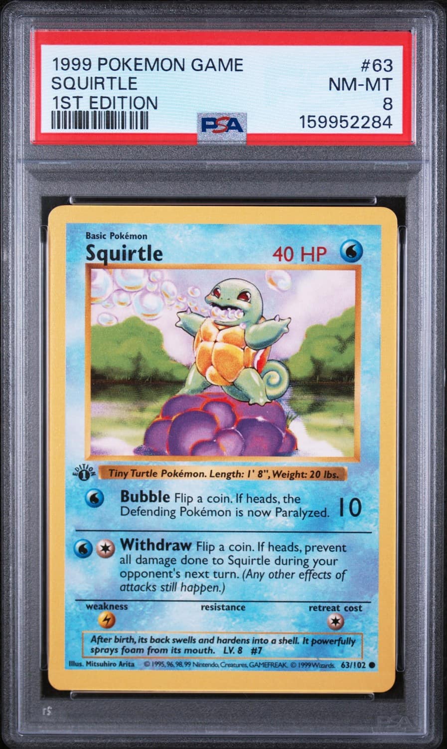 Squirtle