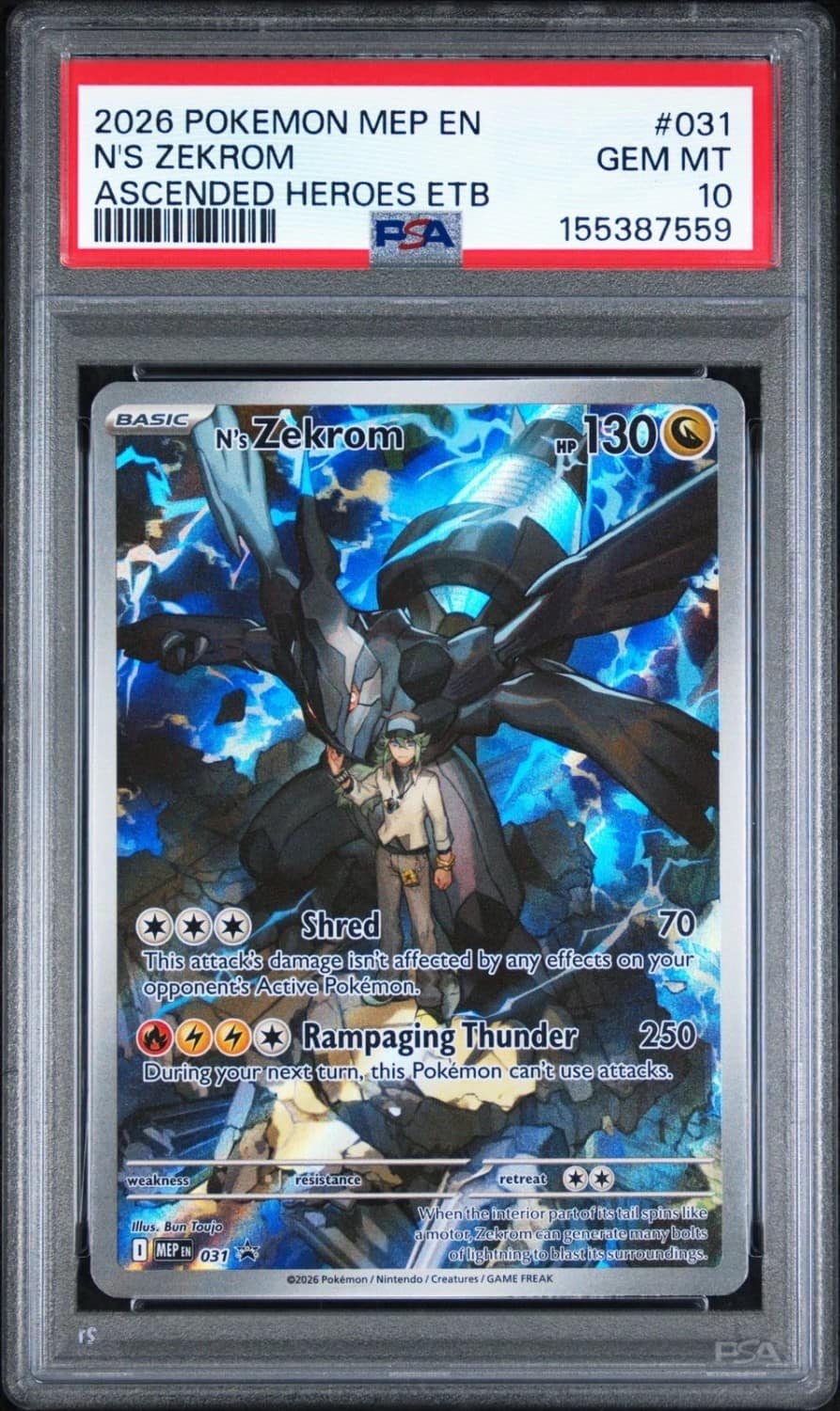N'S Zekrom