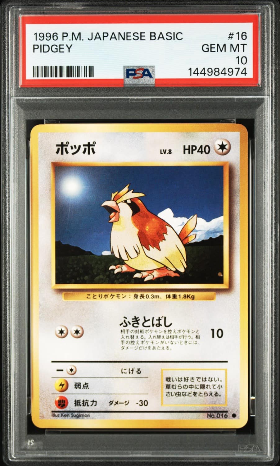 Pidgey