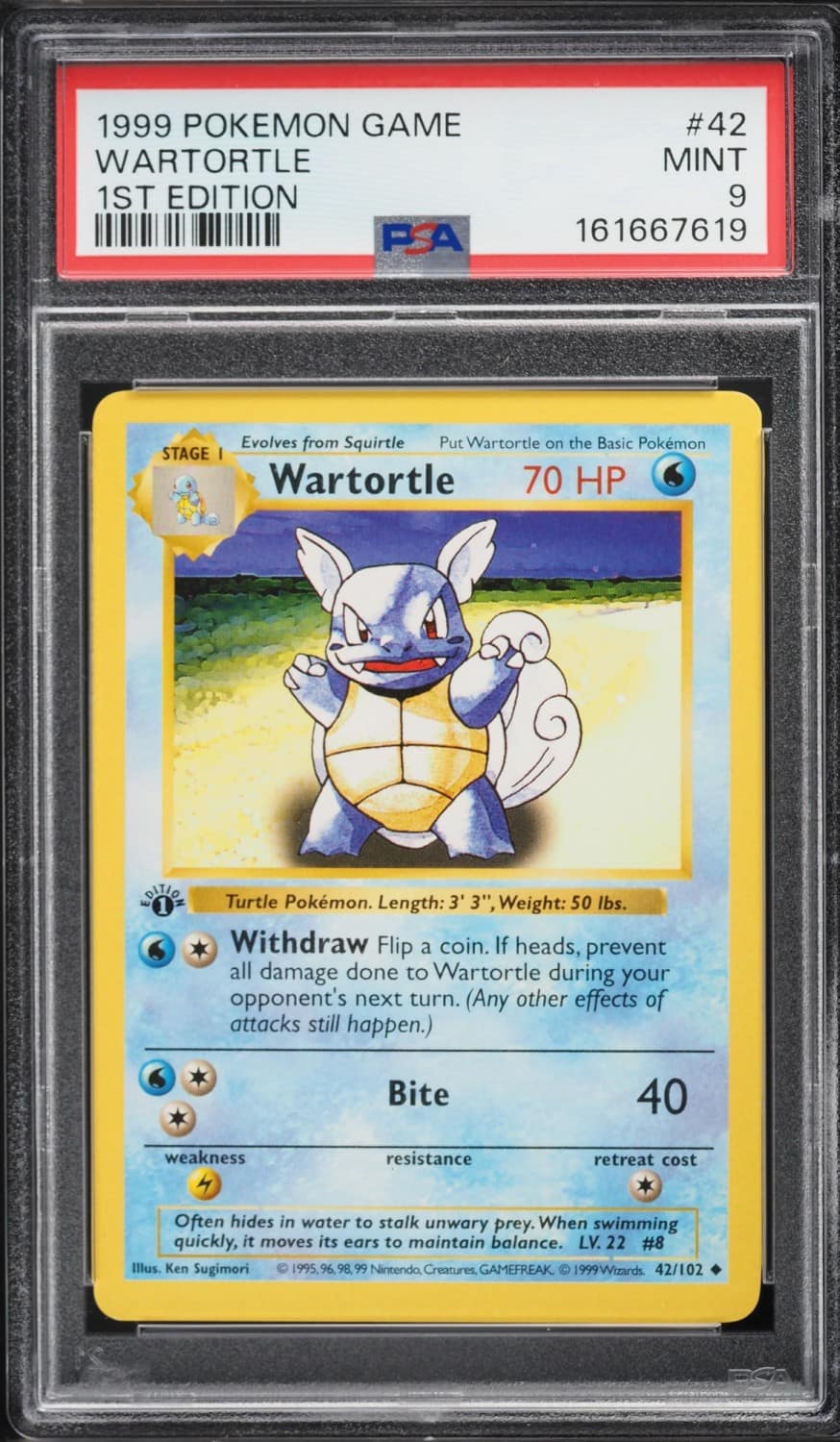 Wartortle
