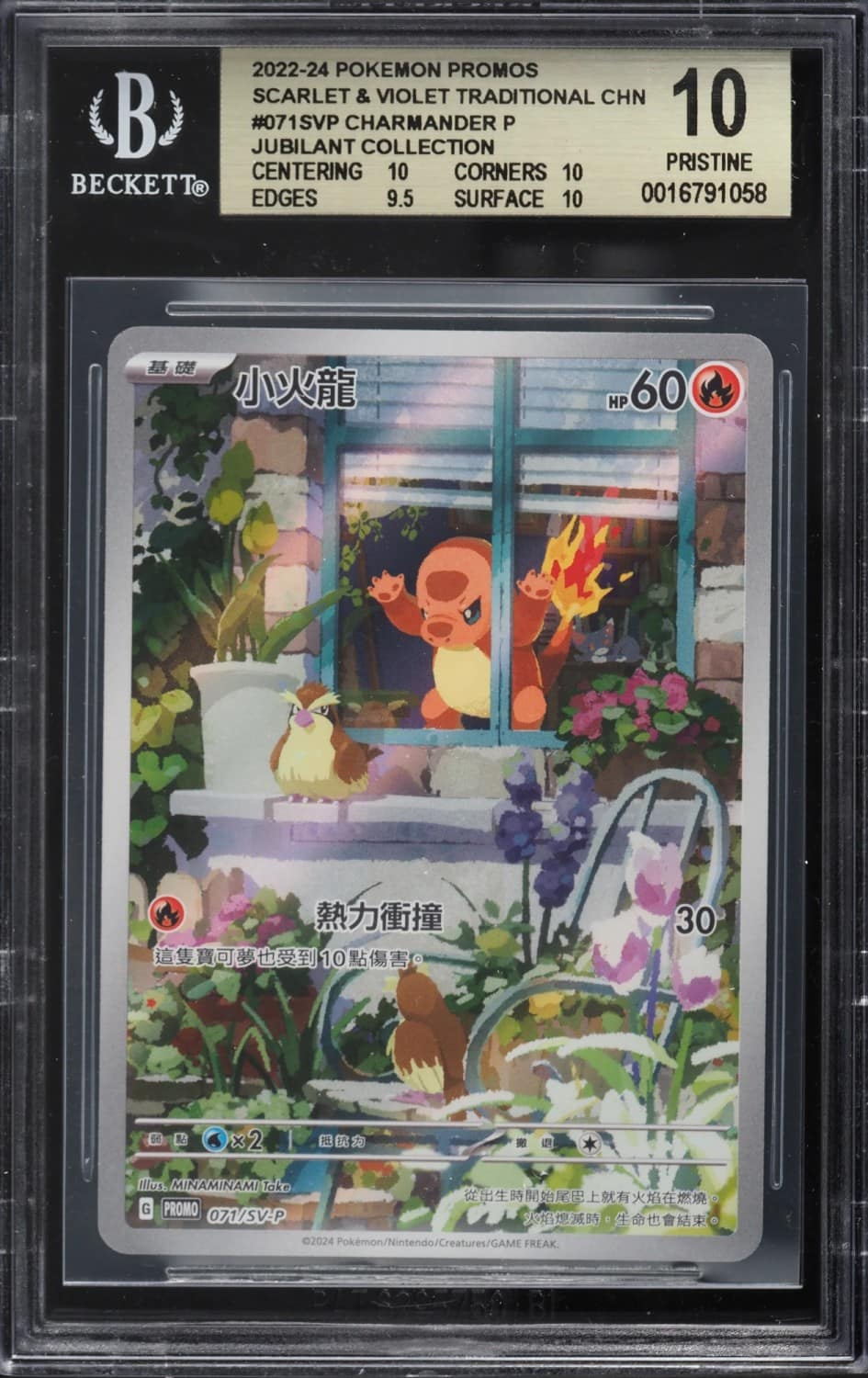 Charmander P/(jubilant Collection - Charizard)