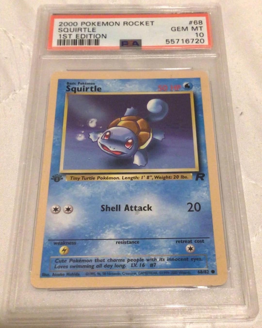 Squirtle