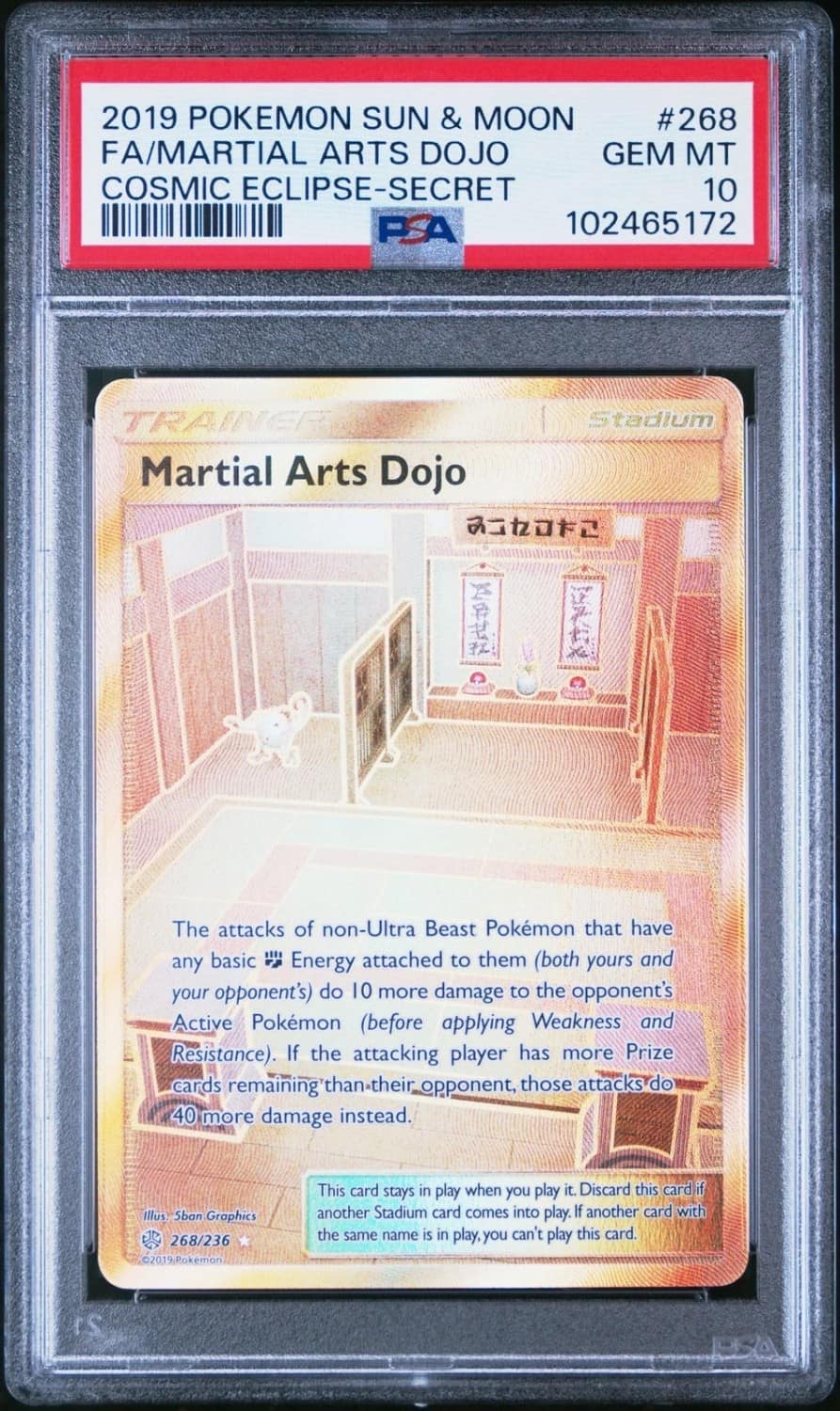 Martial Arts Dojo