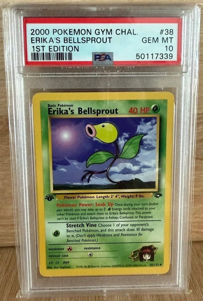 Erika'S Bellsprout