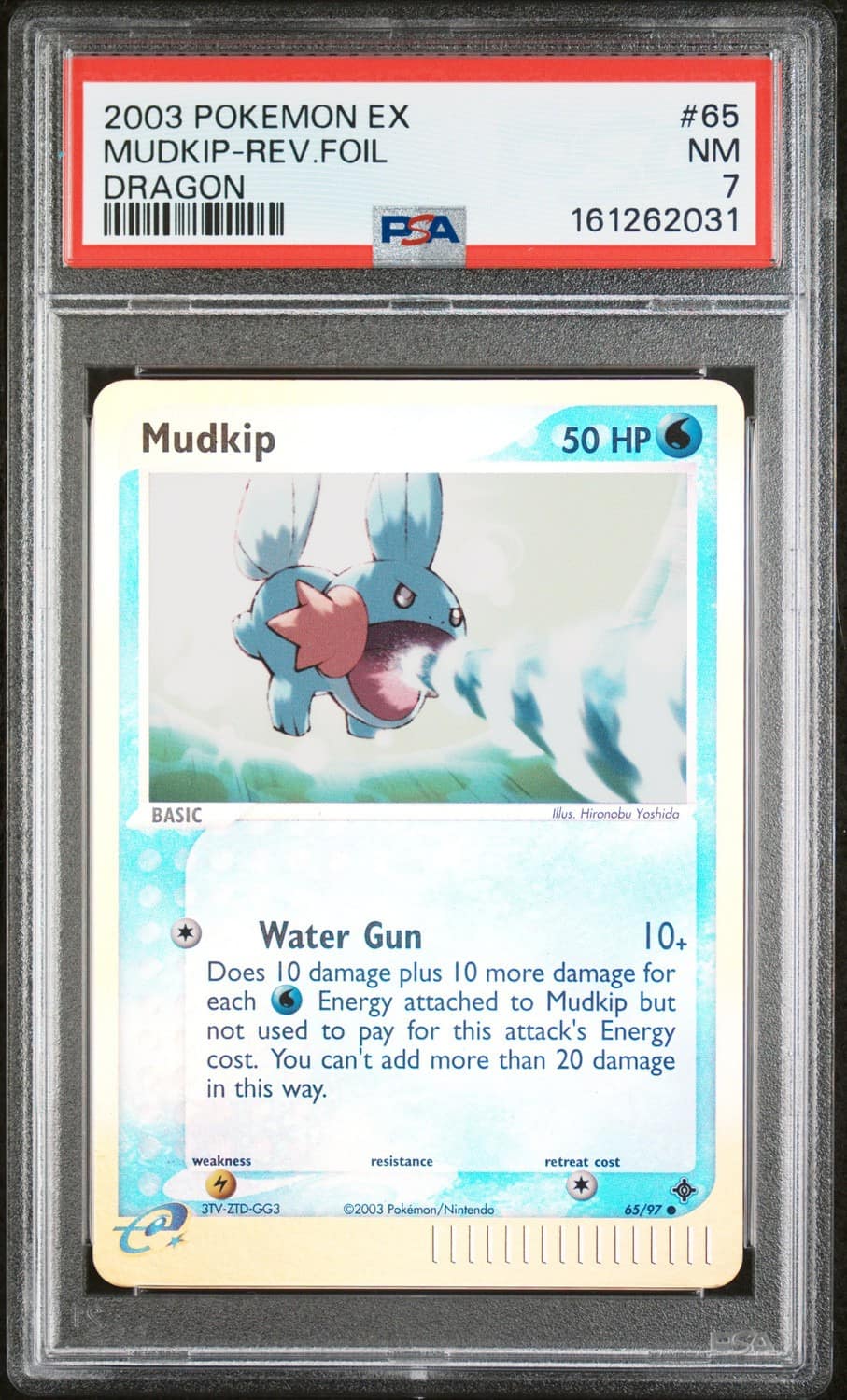 Mudkip