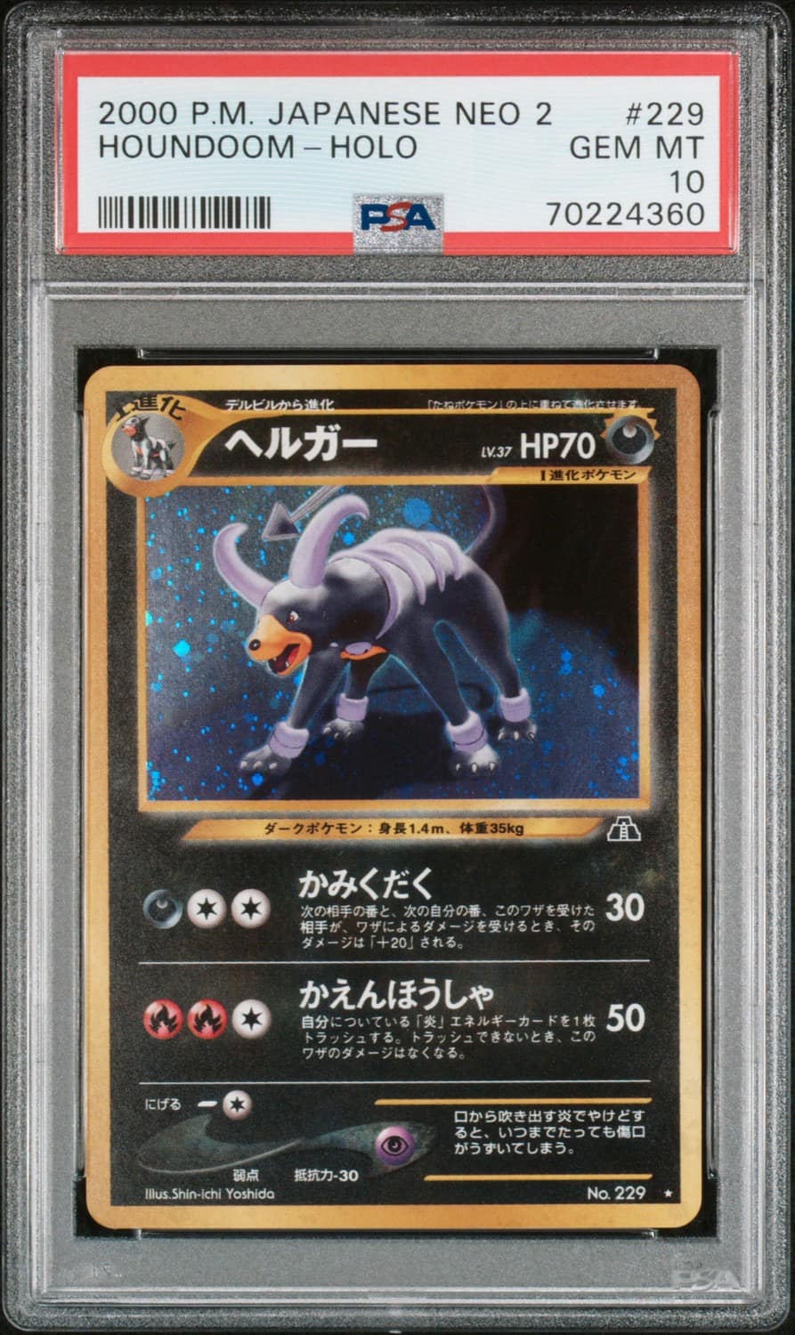 Houndoom
