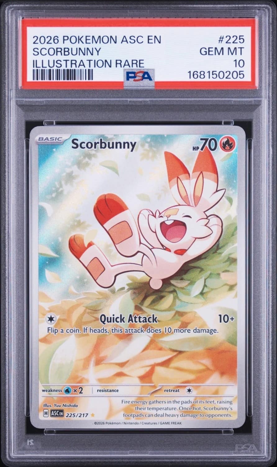 Scorbunny