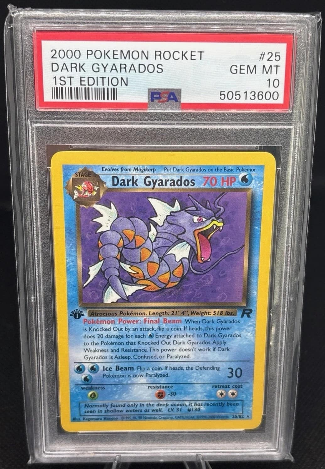 Dark Gyarados