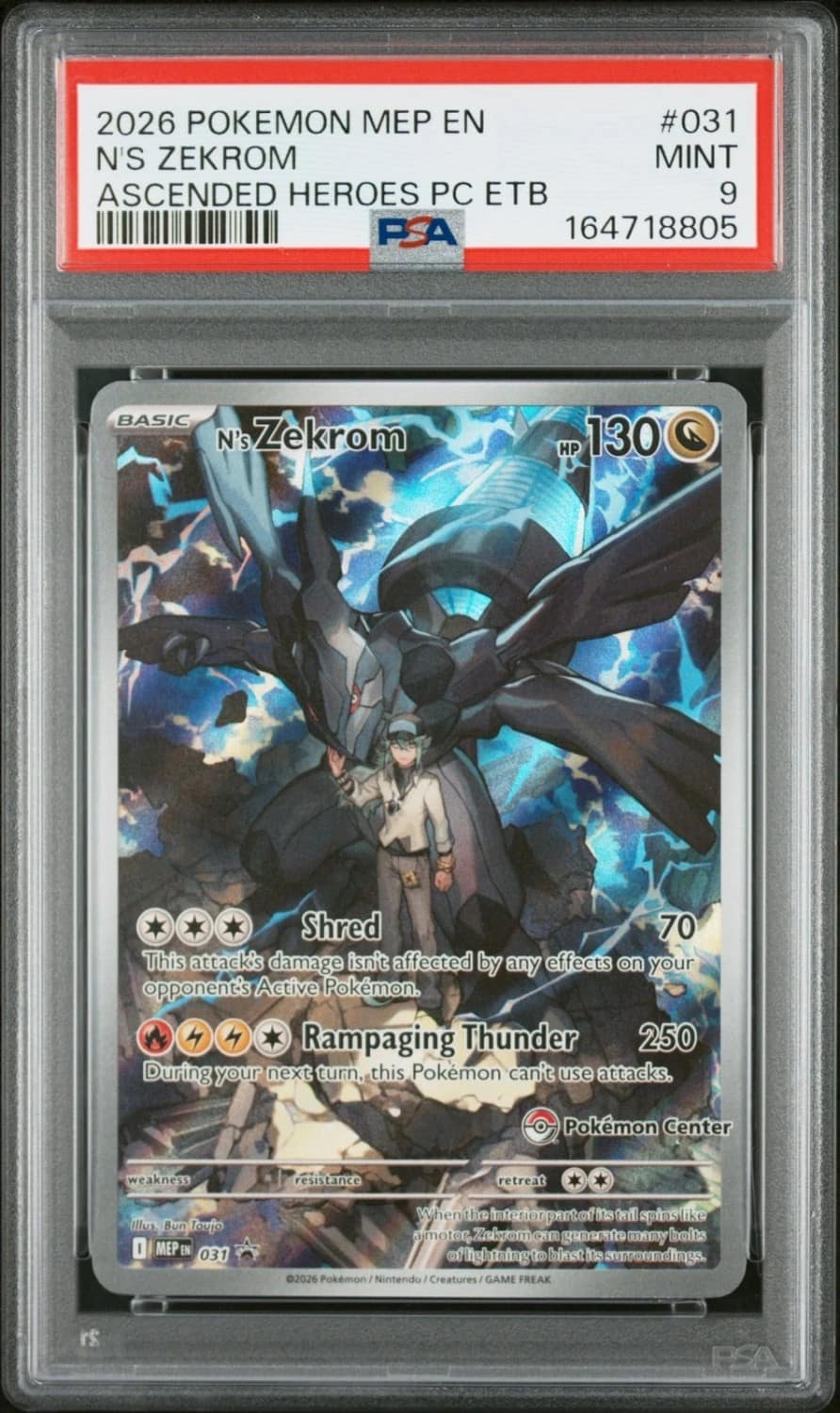 N'S Zekrom