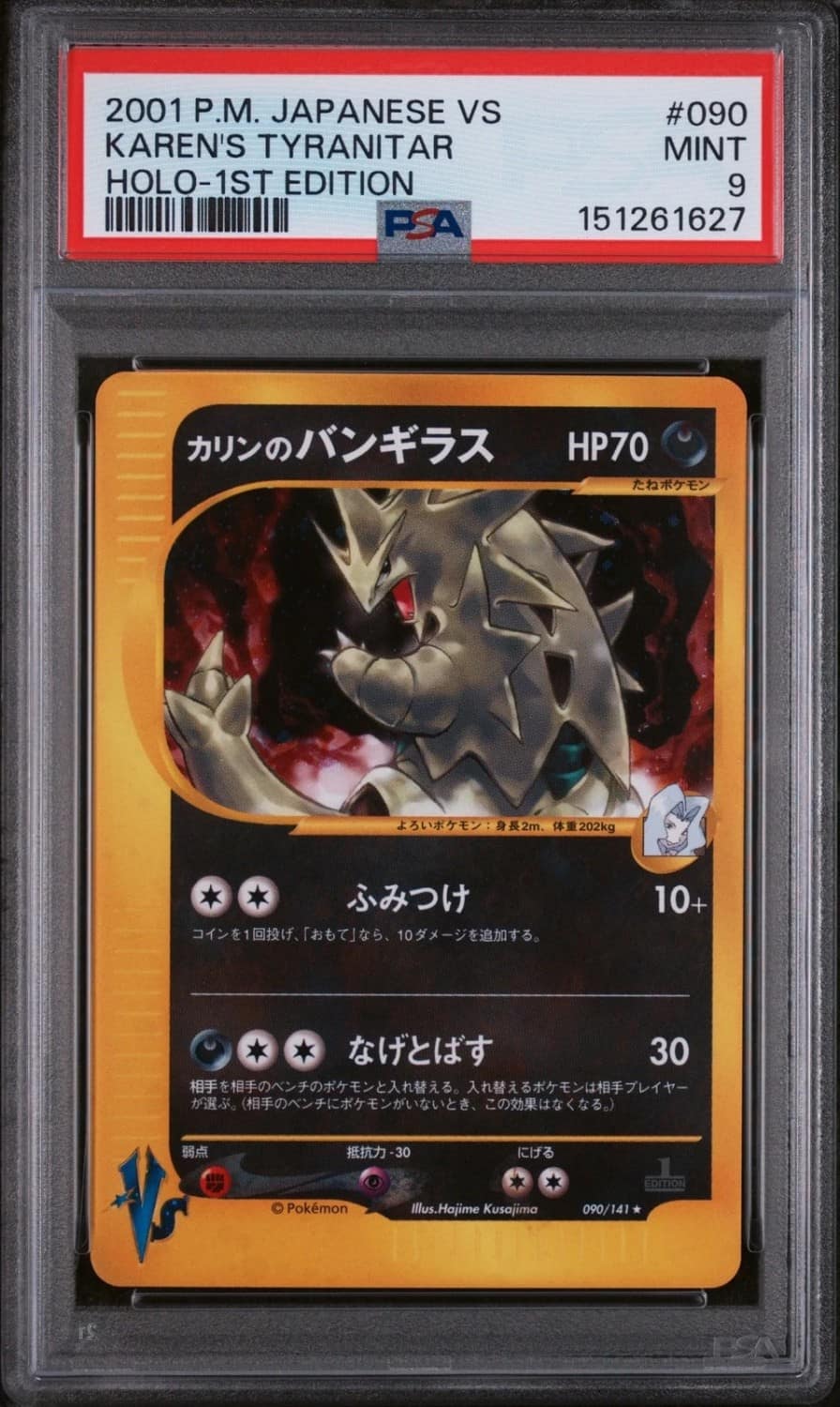 Karen'S Tyranitar