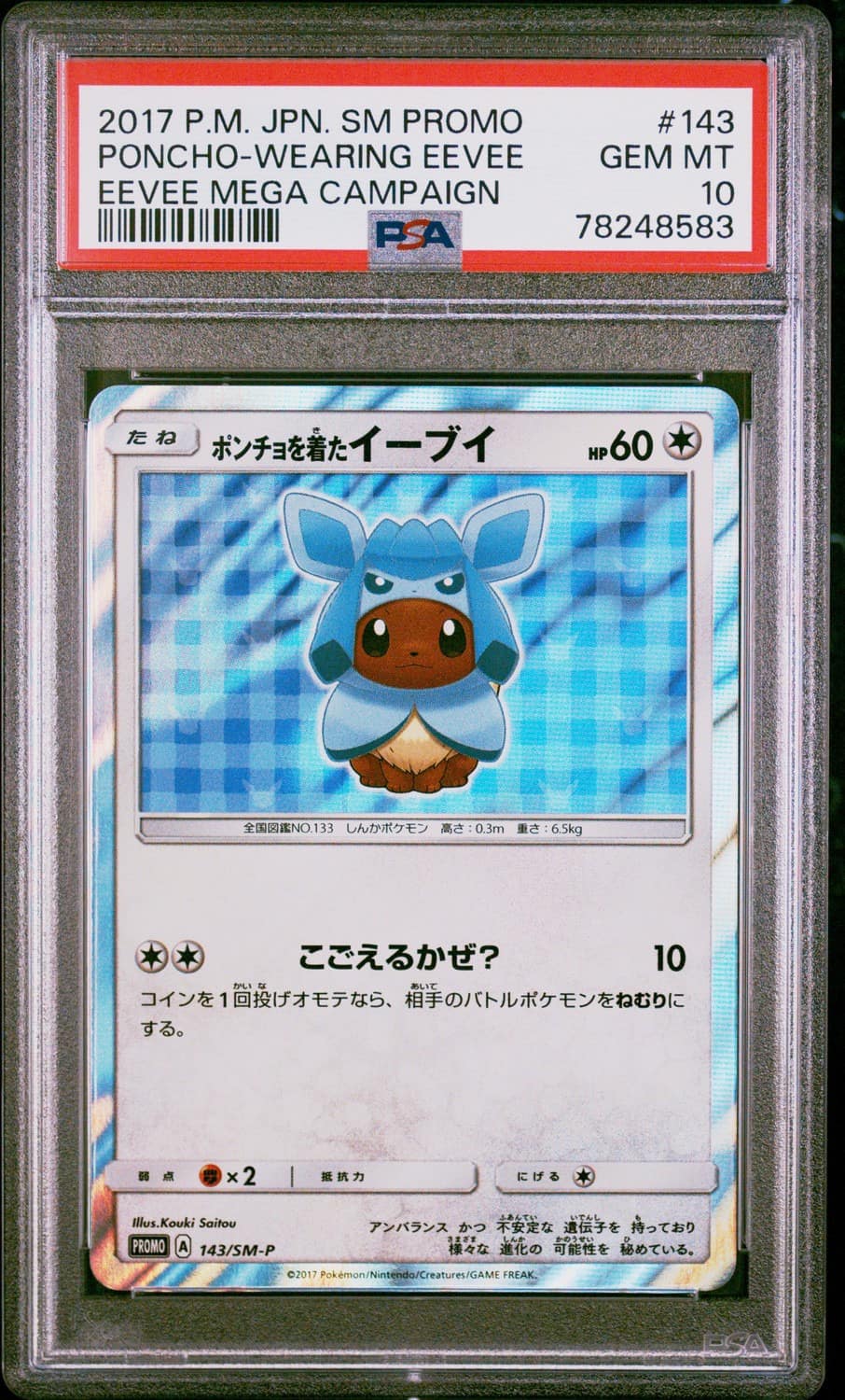Poncho-Wearing Eevee