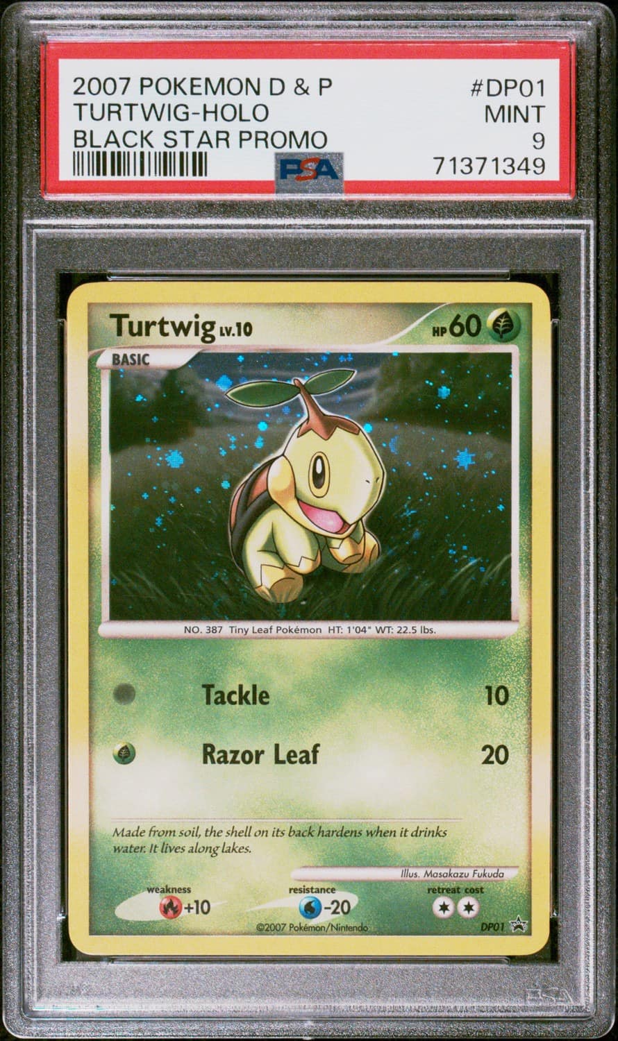 Turtwig