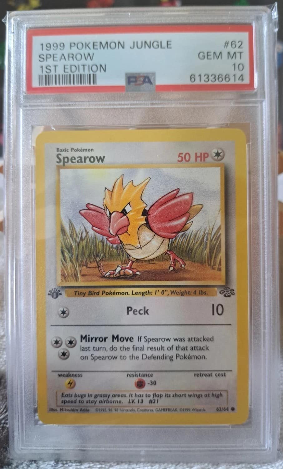 Spearow