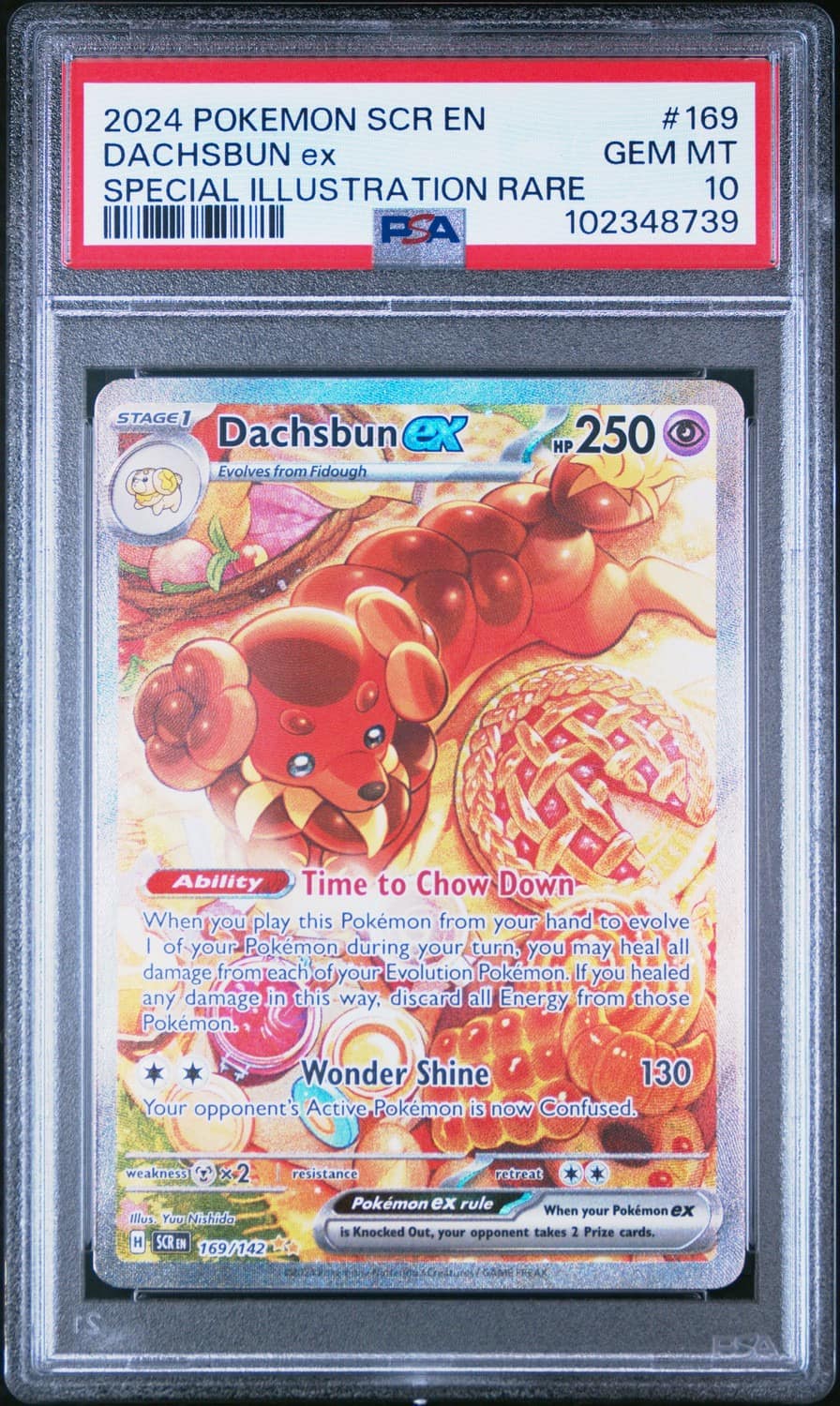 Dachsbun Ex