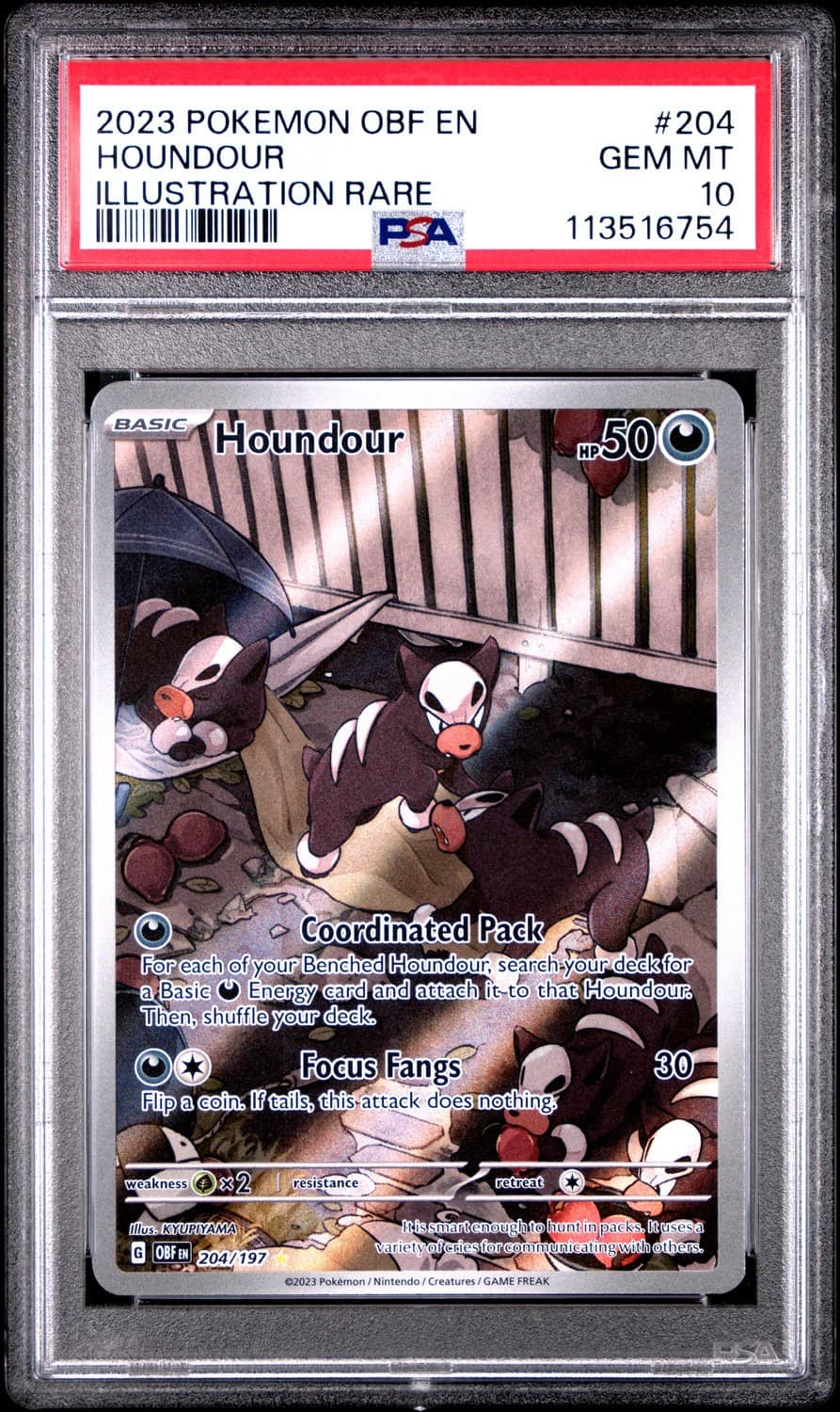 Houndour