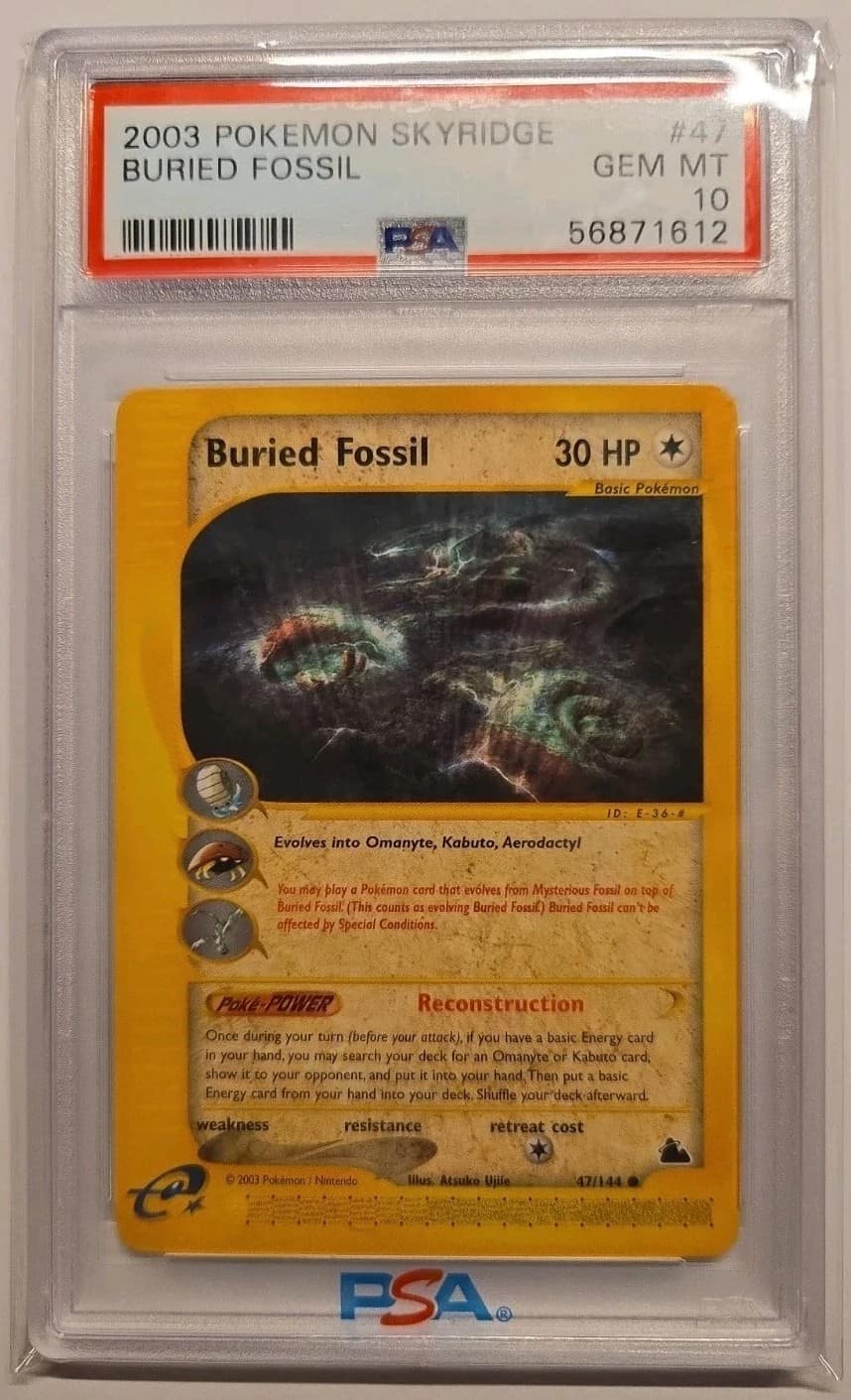 Buried Fossil