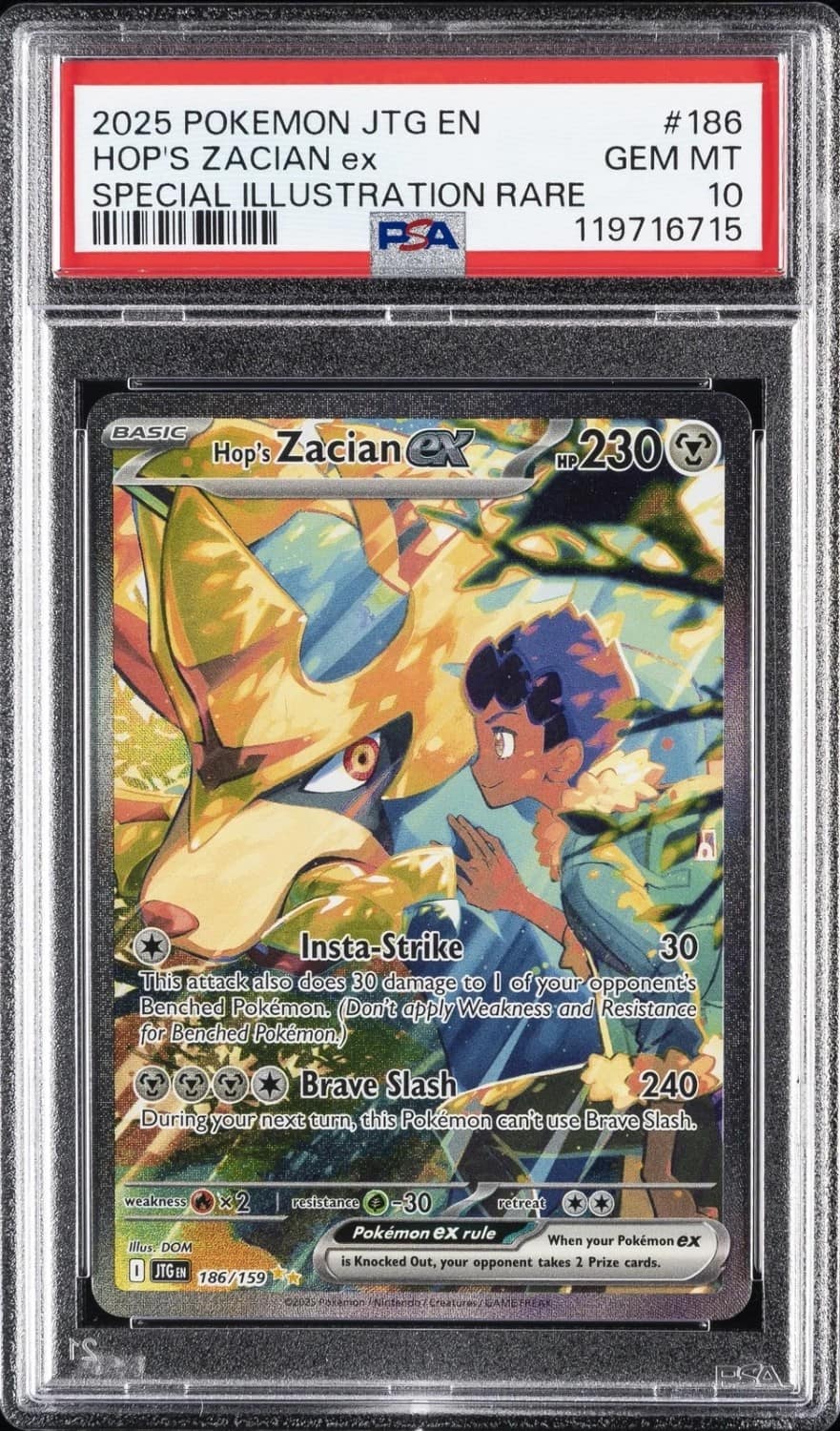 Hop'S Zacian Ex