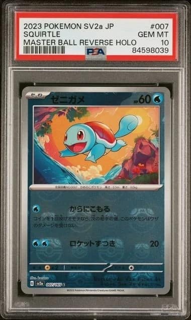 Squirtle
