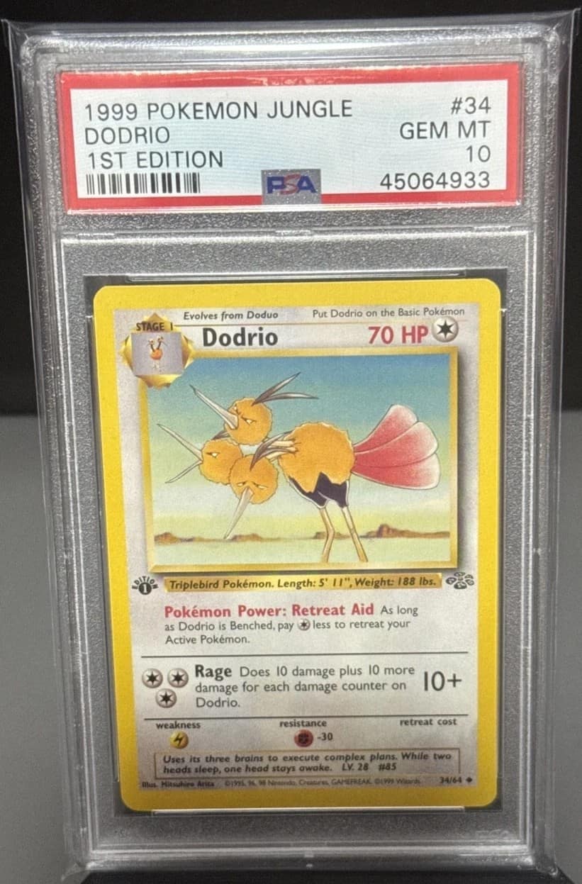 Dodrio