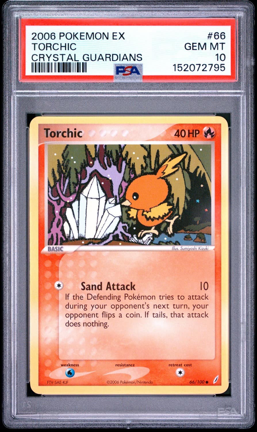 Torchic