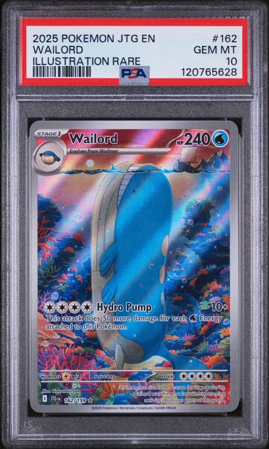 Wailord