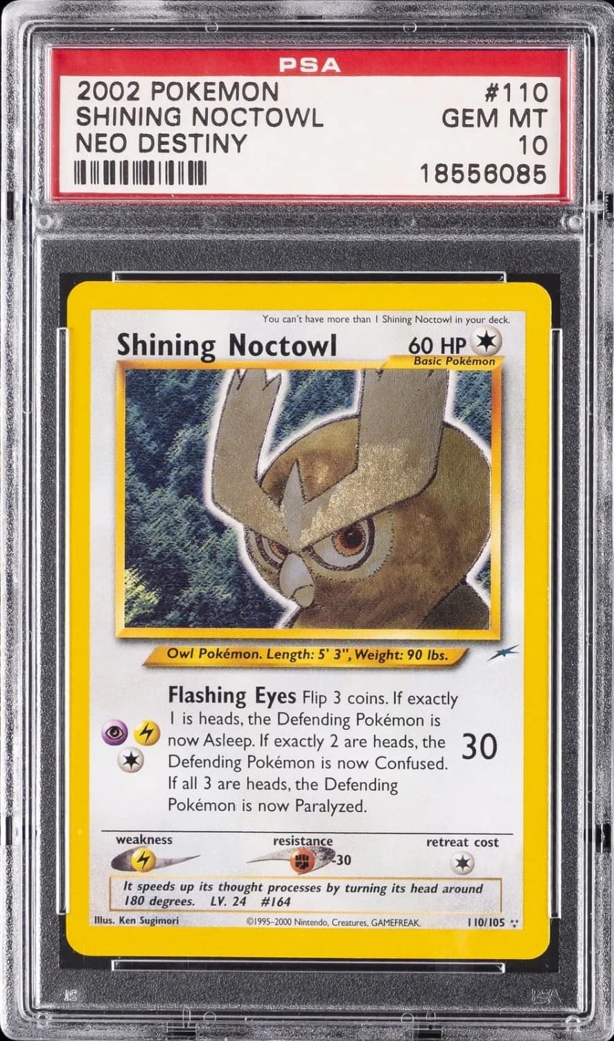 Shining Noctowl