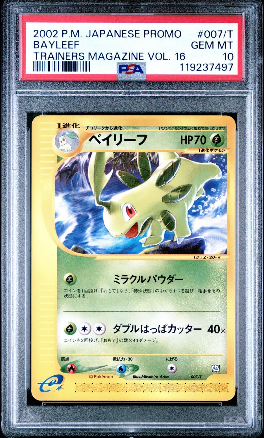 Bayleef