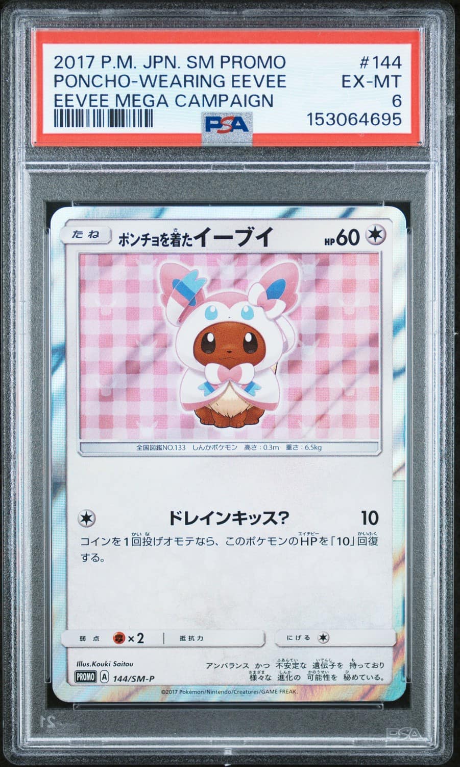 Poncho-Wearing Eevee
