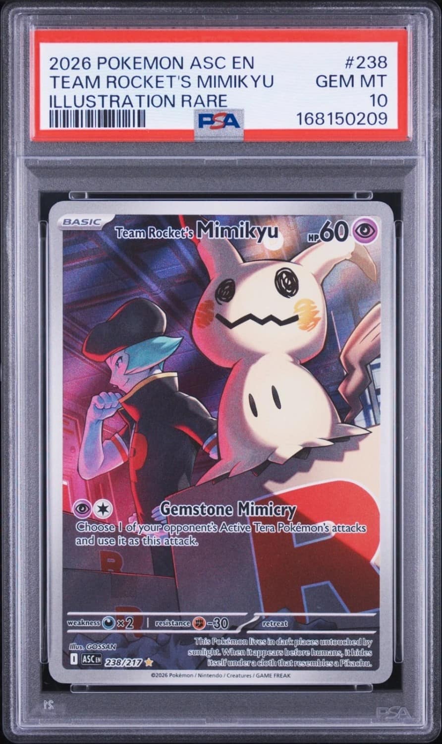 Team Rocket'S Mimikyu