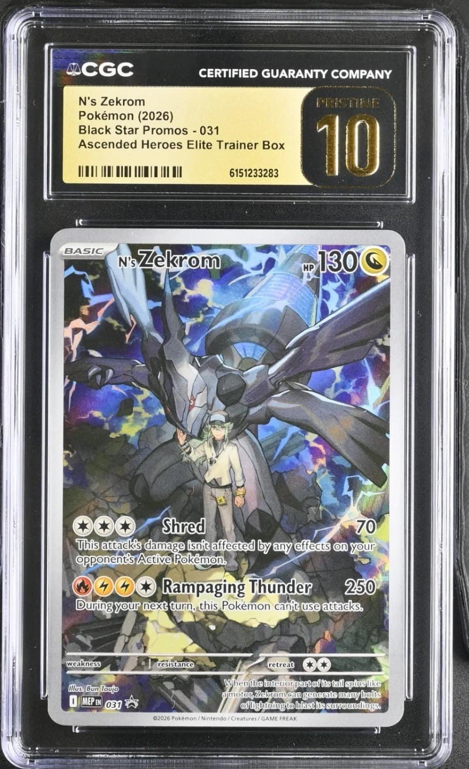 N'S Zekrom