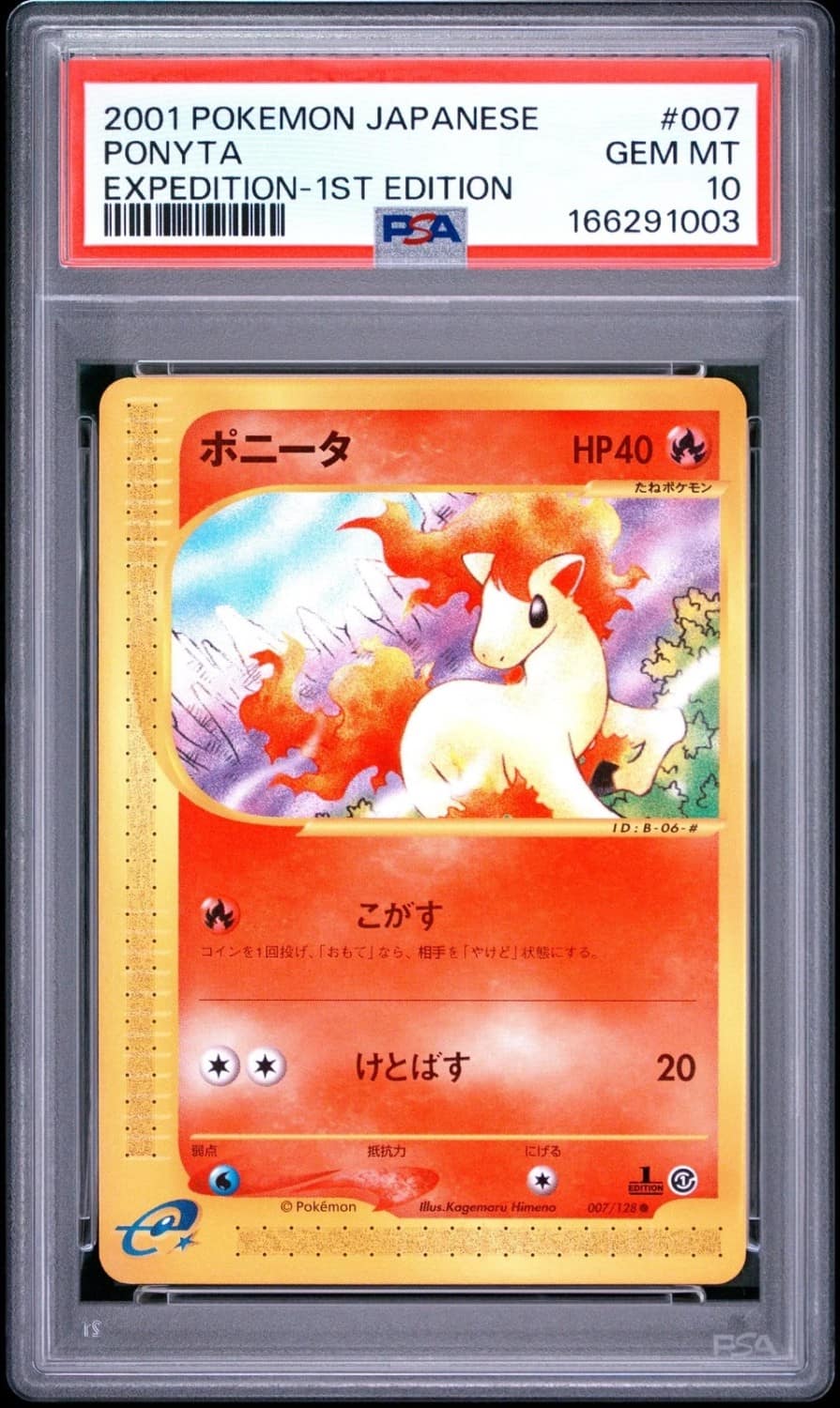 Ponyta