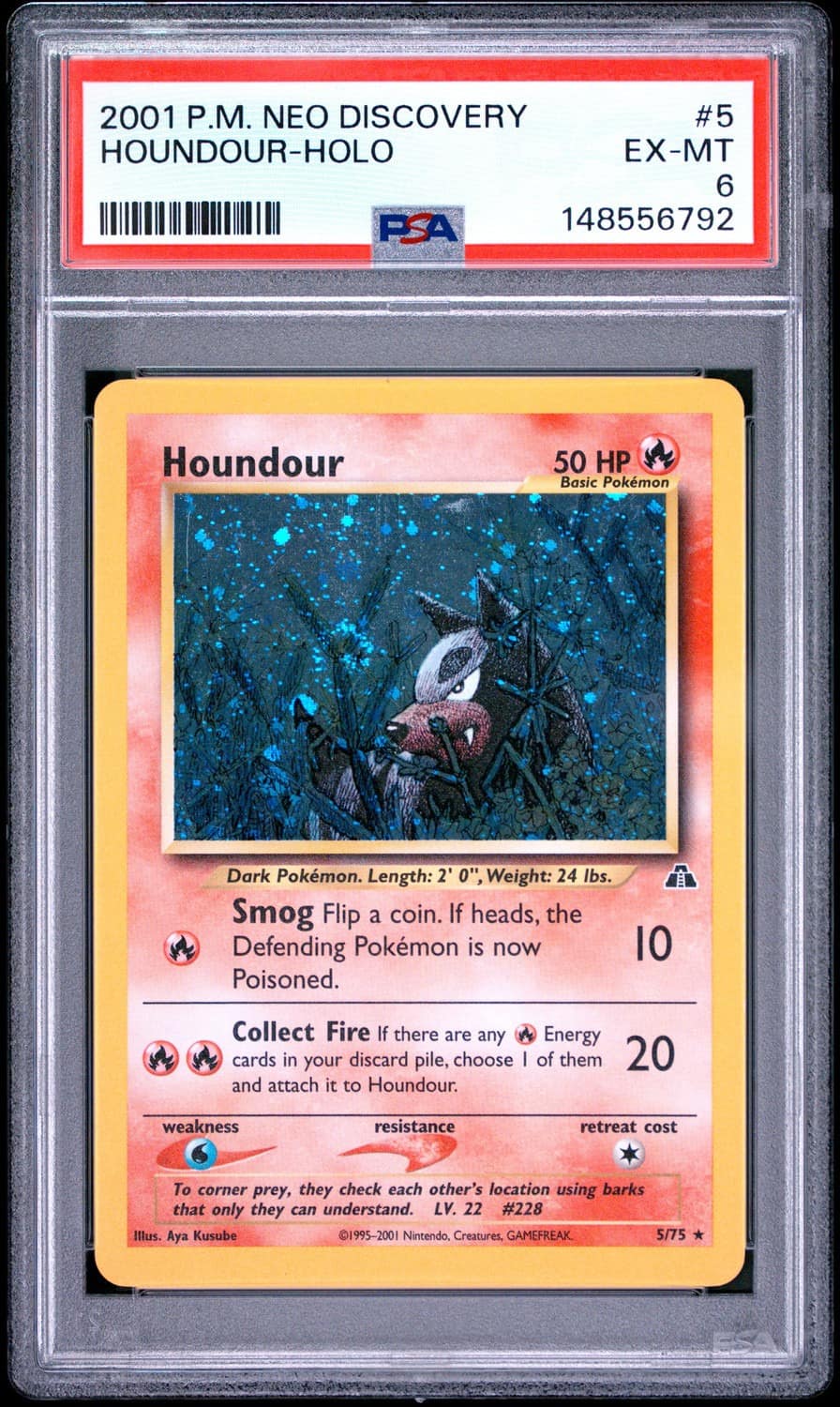 Houndour