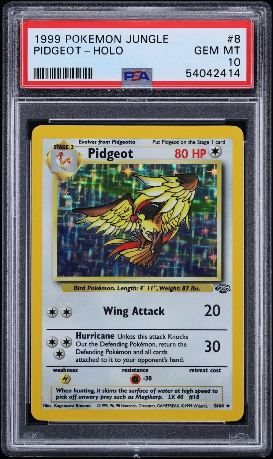 Pidgeot
