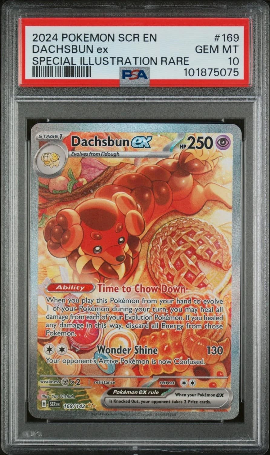 Dachsbun Ex