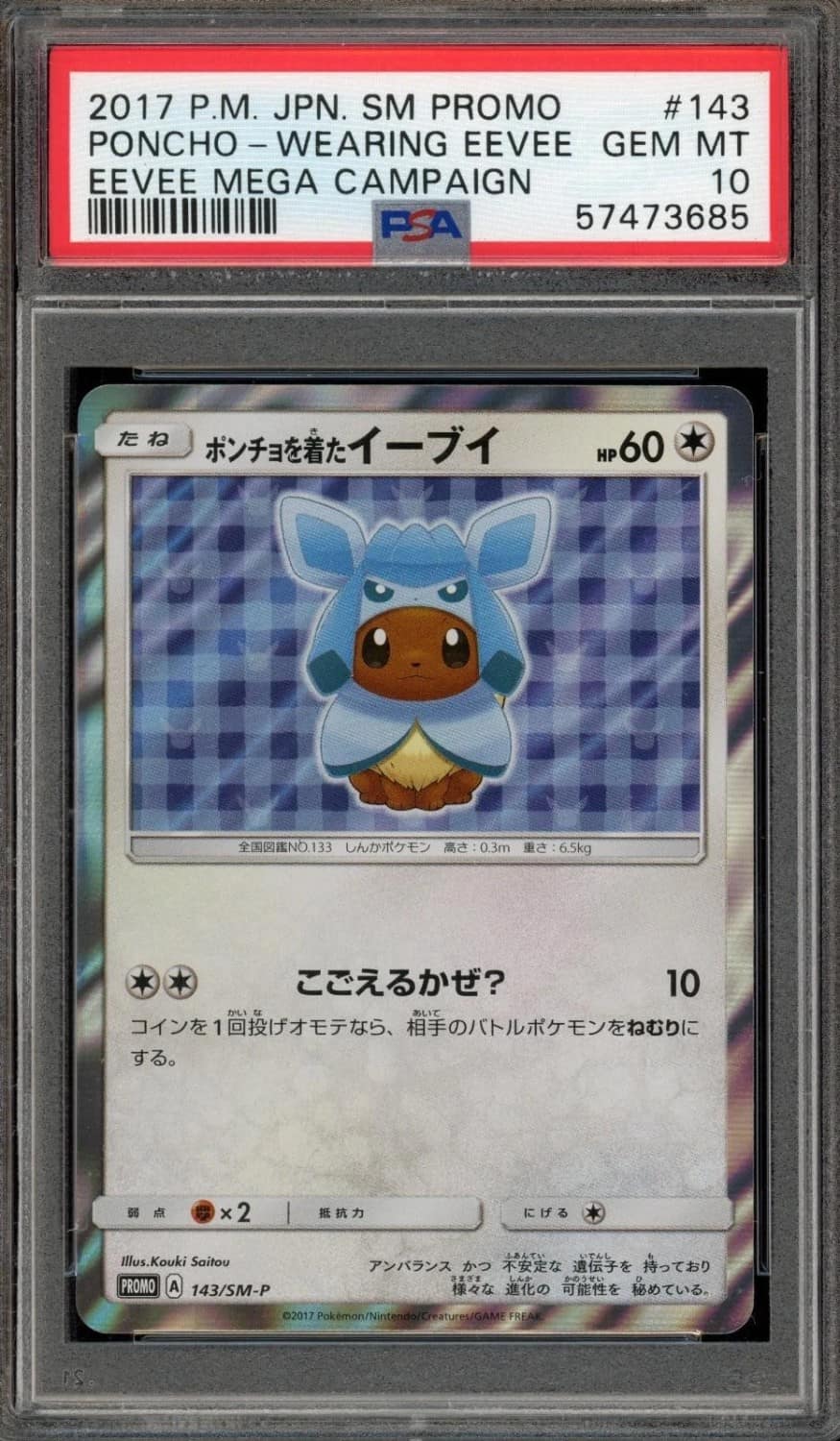 Poncho-Wearing Eevee