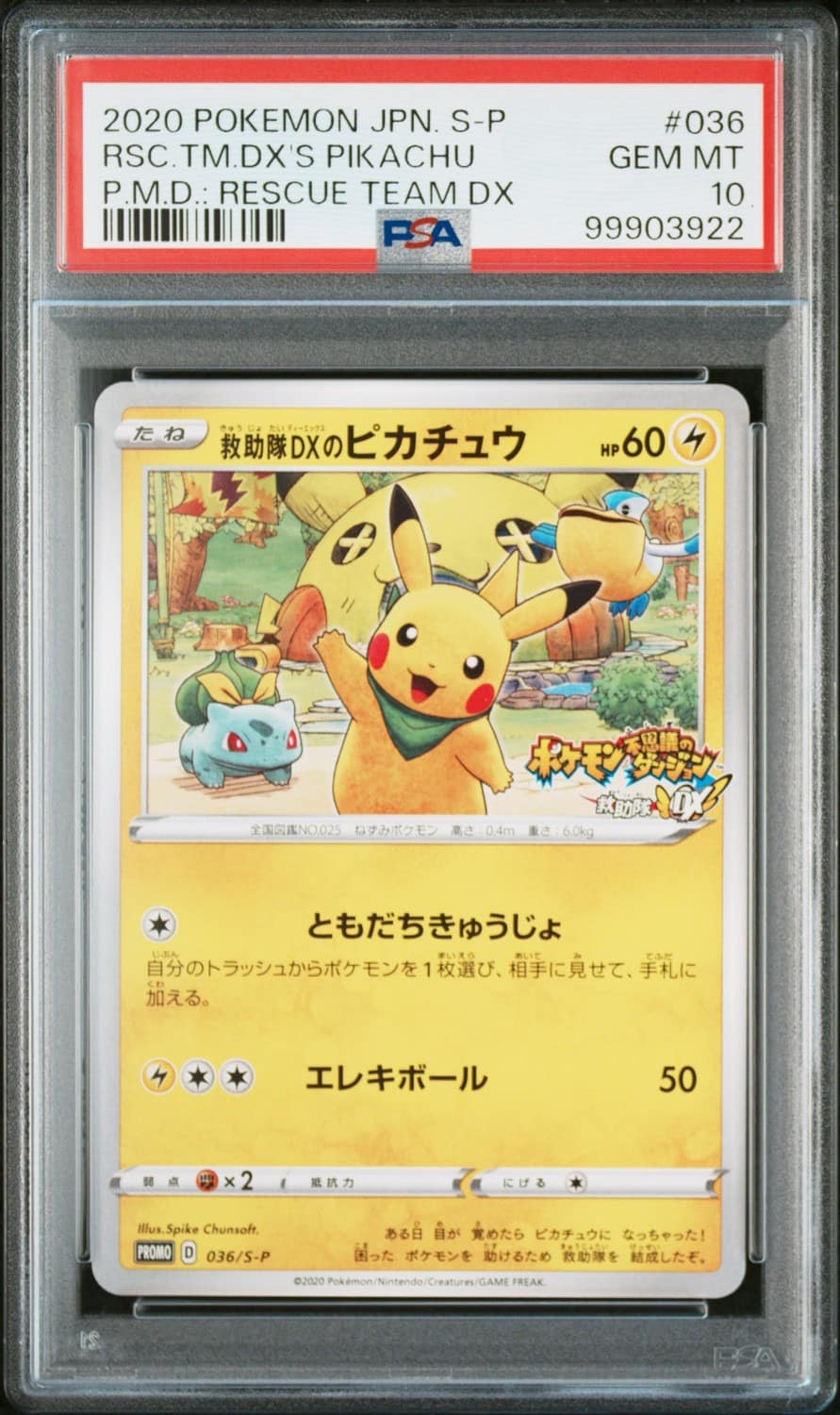 Rescue Team Dx'S Pikachu