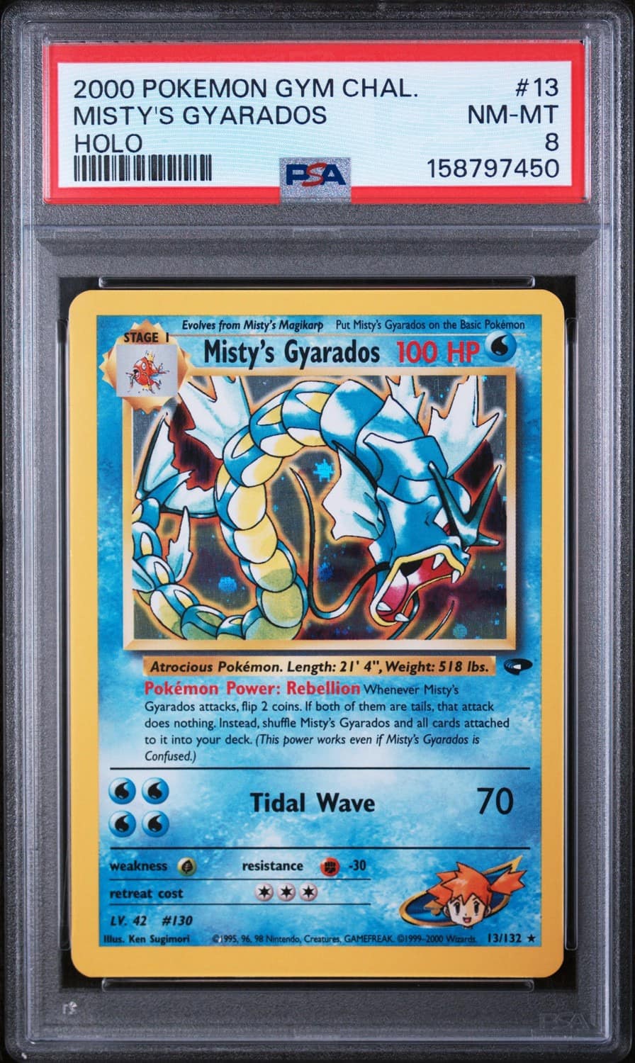 Misty'S Gyarados