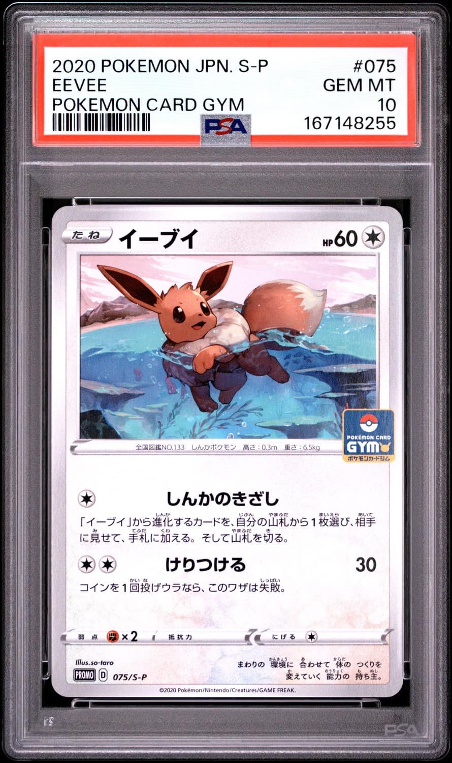 Eevee