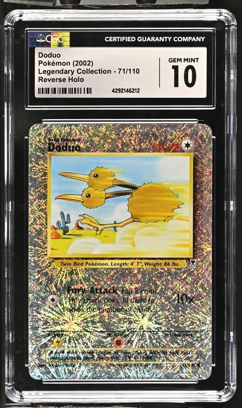 Doduo