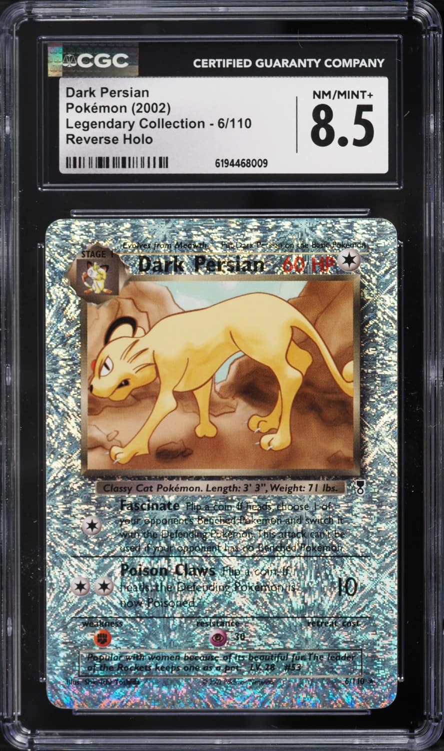 Dark Persian