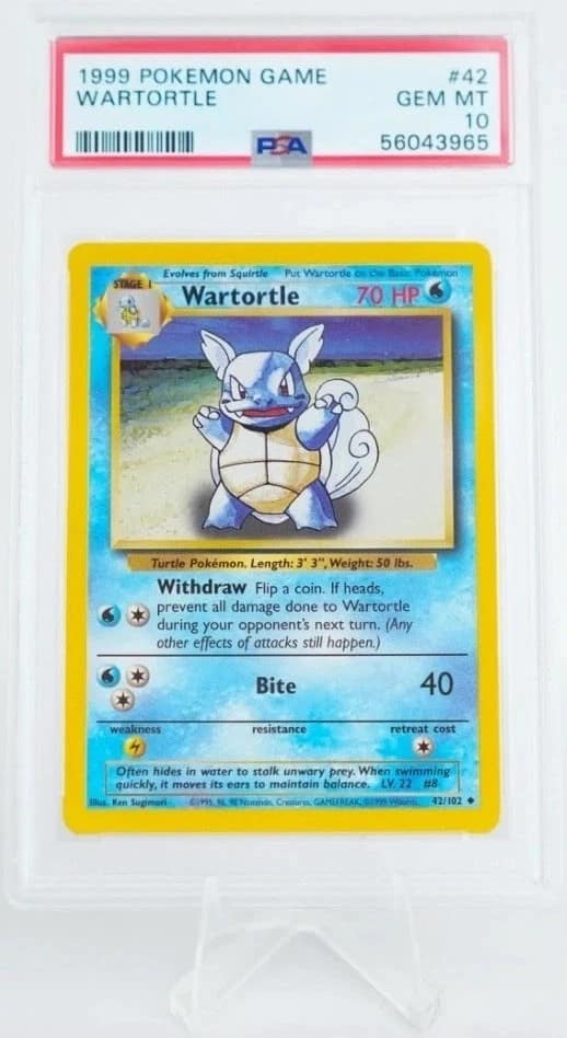 Wartortle