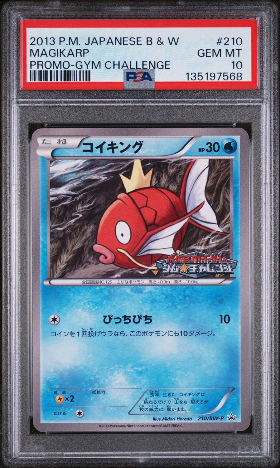 Magikarp