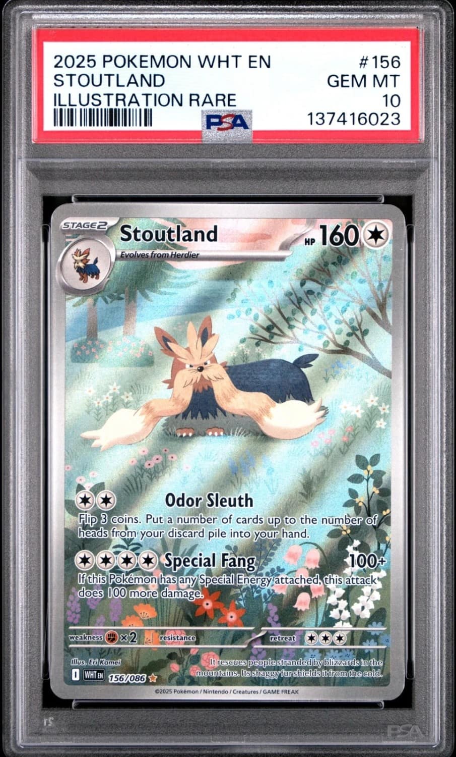Stoutland