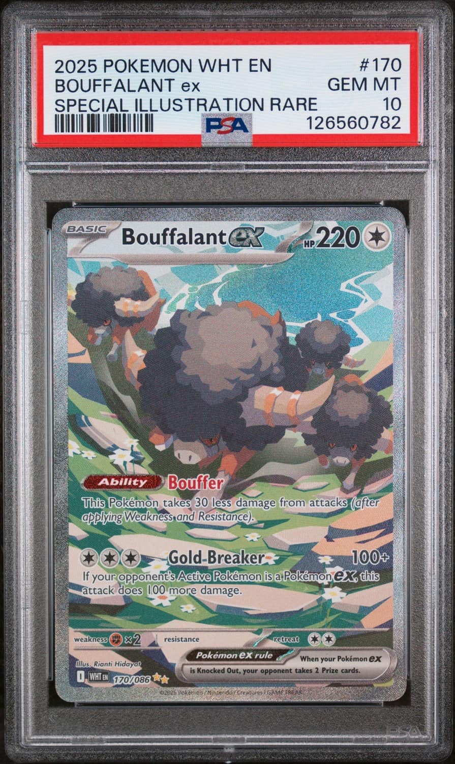 Bouffalant Ex