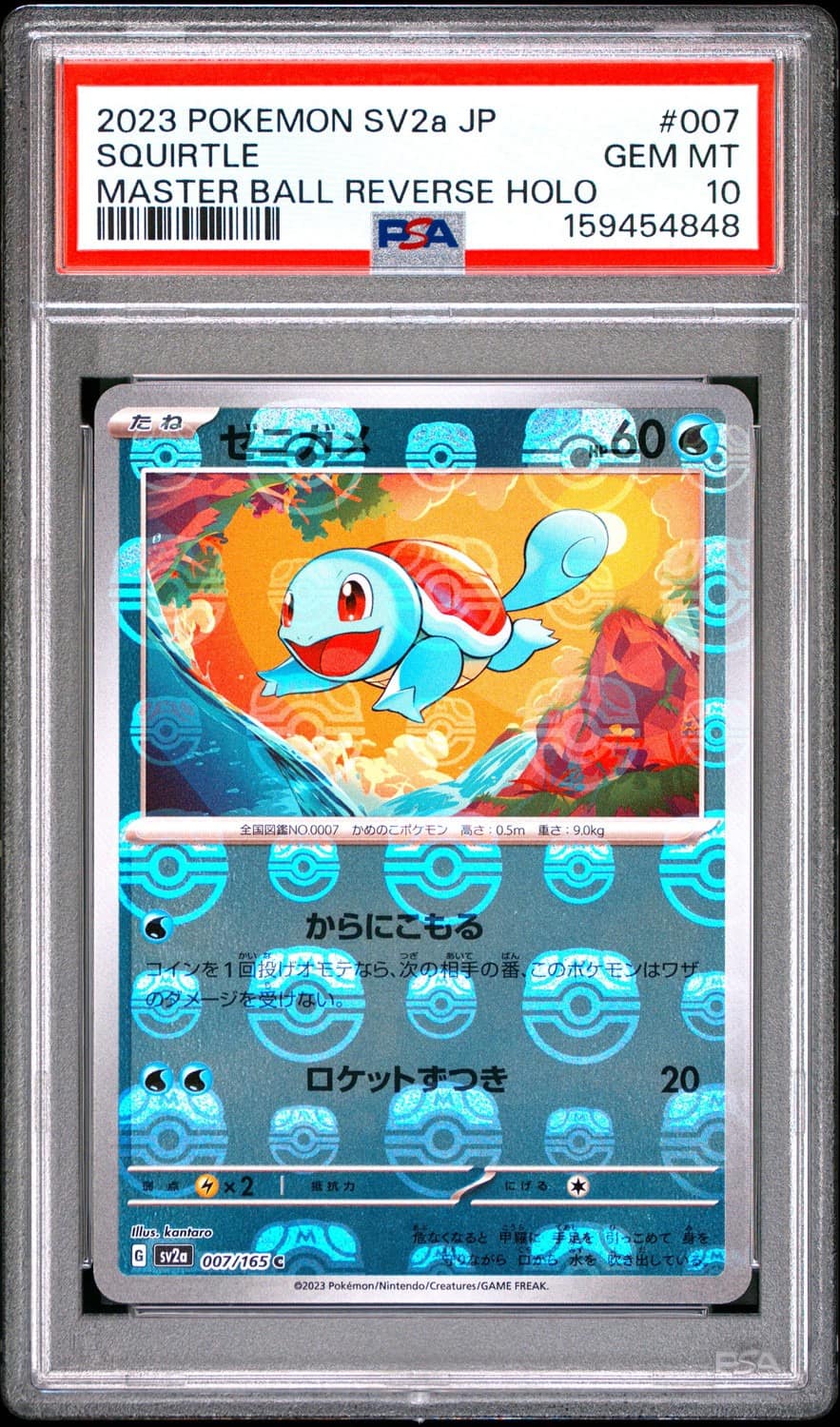 Squirtle
