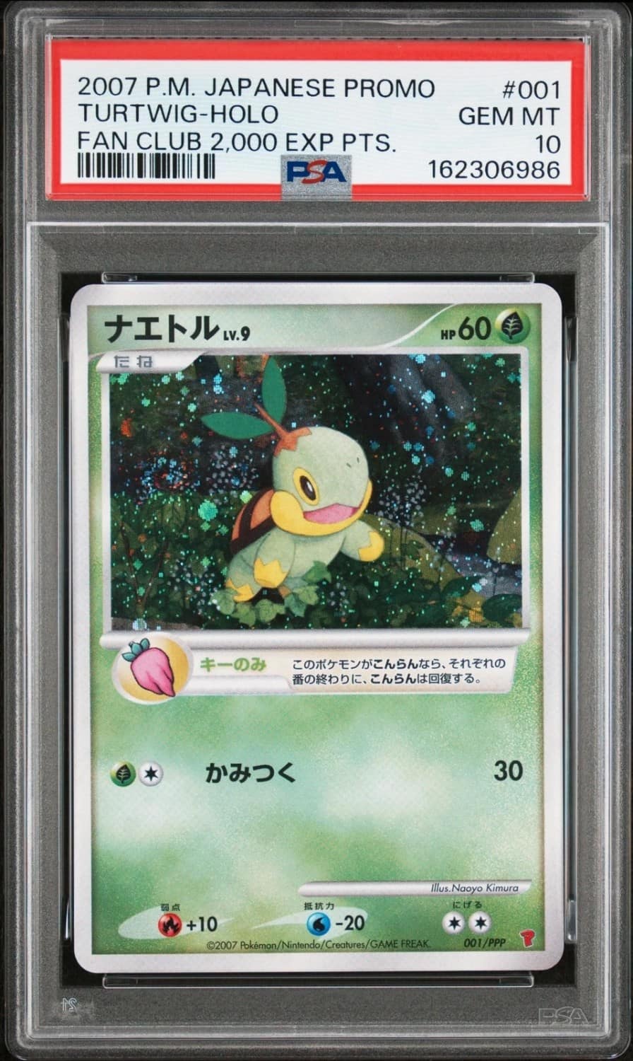 Turtwig