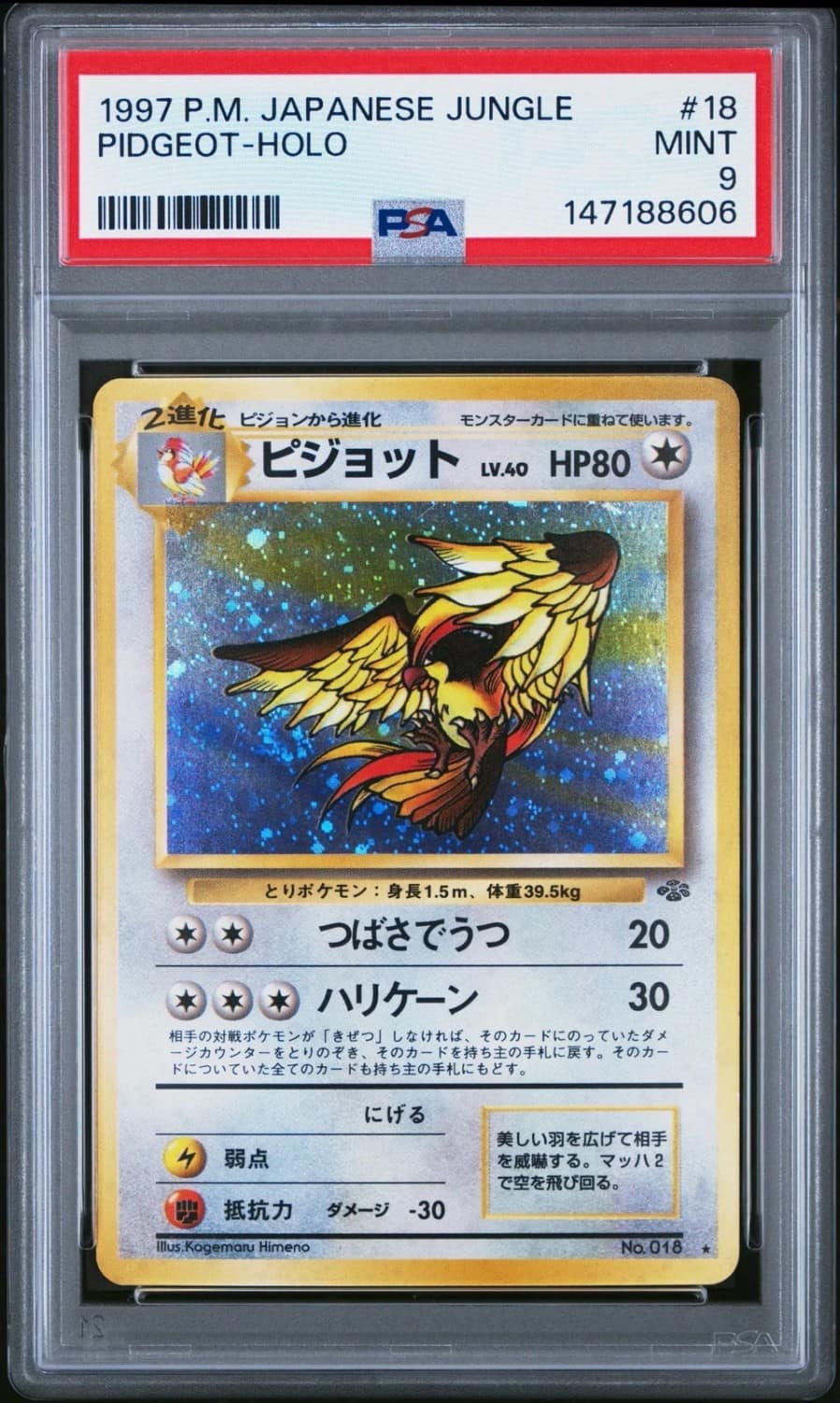 Pidgeot